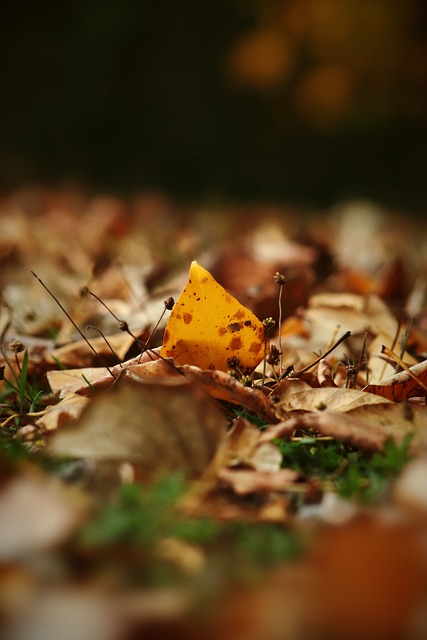 领先优势 领先优势