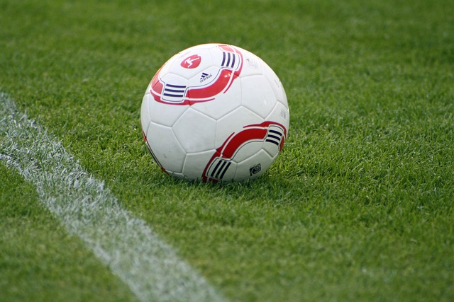 他们豪华的 他们豪华的