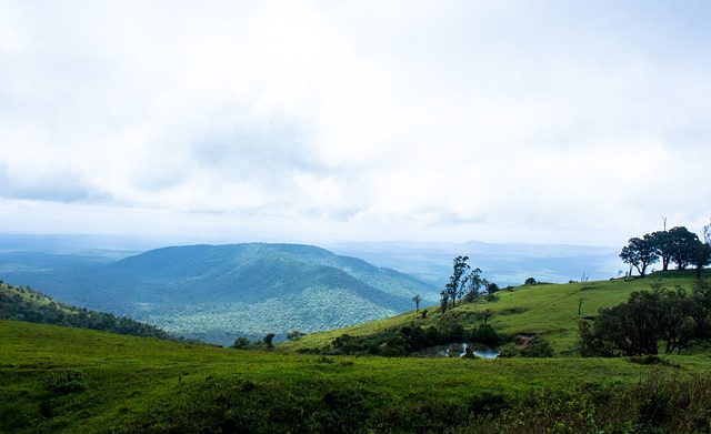 项竞技运动 项竞技运动